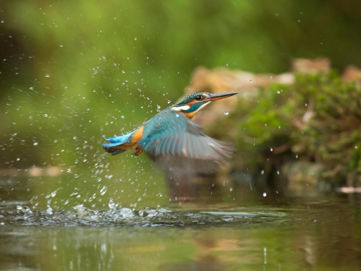 Prayer Is A Friendship